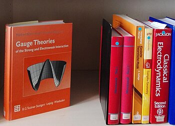6 Physik-Lehrbuecher in einem Bibliothek-Regal. Darunter erkennbar: Gauge Theories, Classical Electrodynamics 