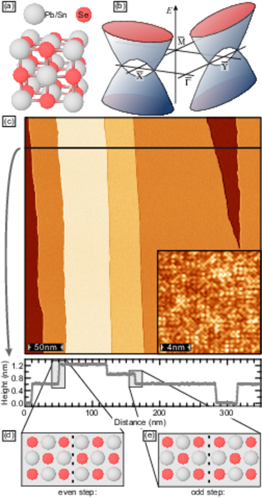 Robust spin-polarized midgap states at step edges of topological crystalline insulators