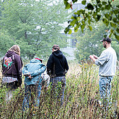 Schülerinnen und Schüler stehen auf einer Wiese und suchen Insekten.