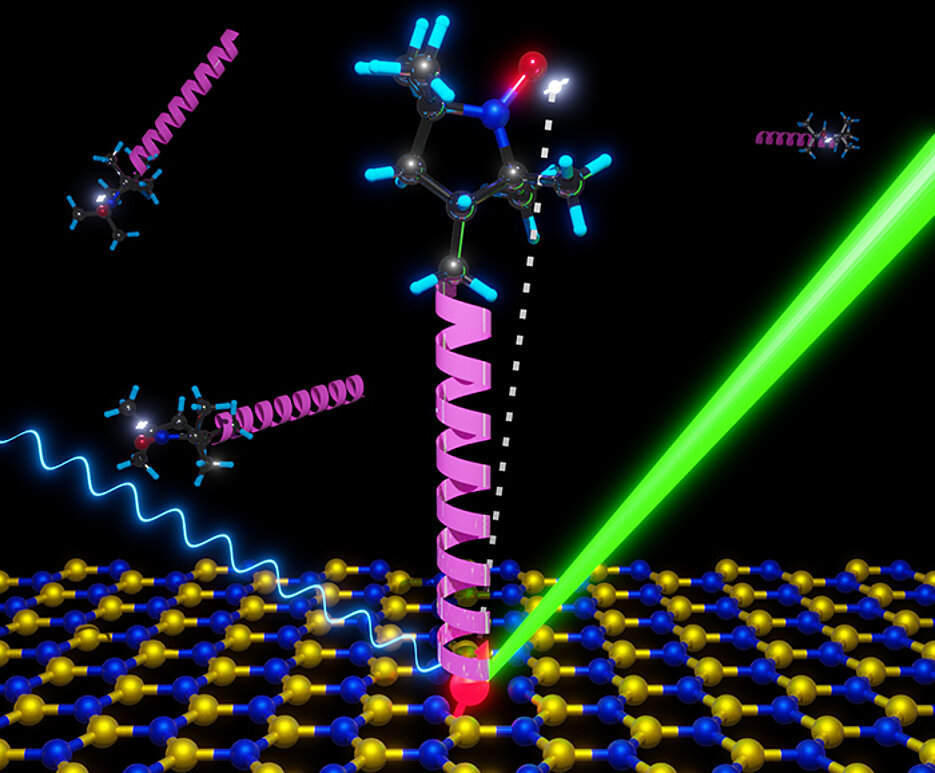 Schema eines Quantensensors, bei dem ein Biomolekül (pink) an einer Oberfläche aus hexagonalem Bornitrid verankert ist, auf der sich der Spindefekt (rot) befindet. Dieser fungiert dort als Sonde.