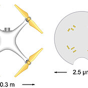 Größenvergleich zwischen Quadrocopter und Mikrodrohne.