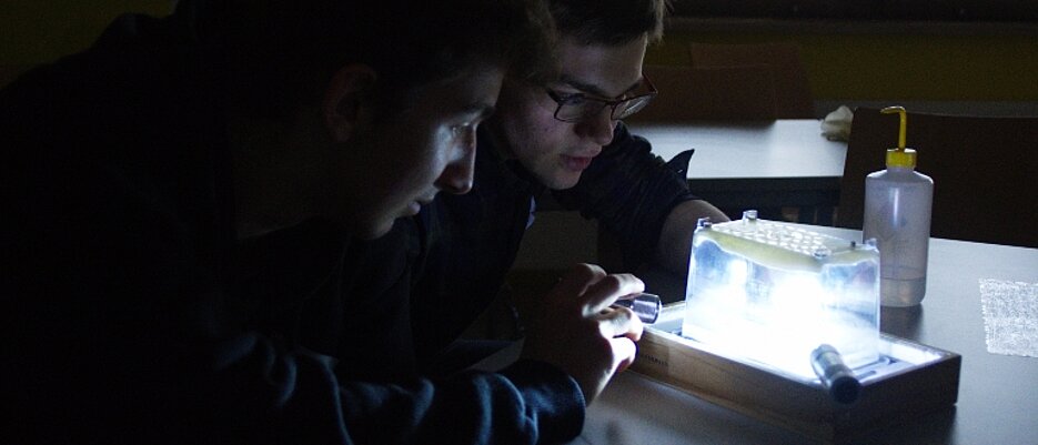 Schüler beobachten Kosmische Stahlung mittels einer selbstgebauten Nebelkammer