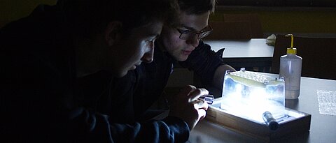 Schüler beobachten Kosmische Stahlung mittels einer selbstgebauten Nebelkammer