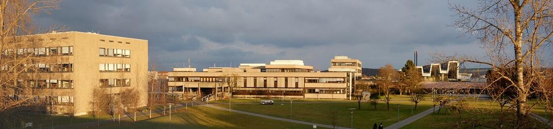 Schmuckbild vom Hubland-Campus. (Foto: Gunnar Bartsch)